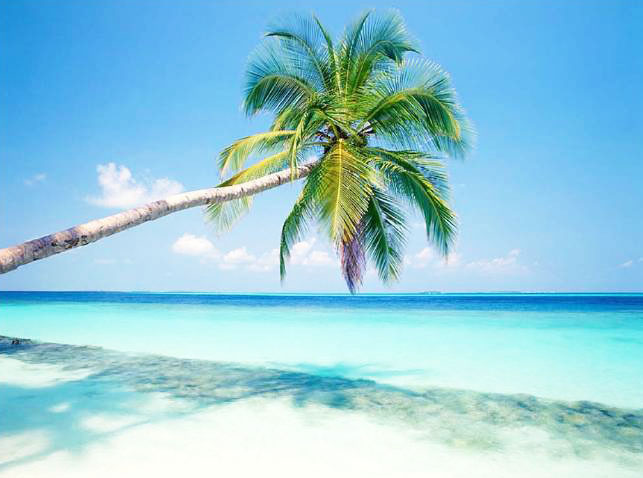 North Goa