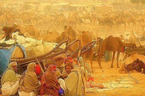 Pushkar