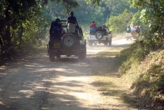 Ranthambore