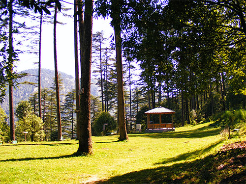 Chopta