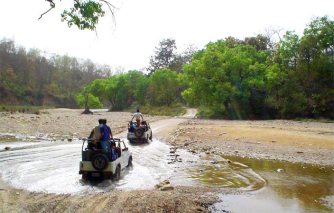 Jim Corbett